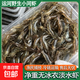 運河小河蝦淡水新鮮活體速凍保鮮冷凍大號鮮青蝦醉蝦大草蝦魚(yú)食 小號 250g(凈重)  *1盒【2-3cm】河蝦
