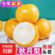 【甘甜多汁】山東秋月梨梨子新鮮水果產(chǎn)地直發(fā)脆甜無(wú)渣山源新5 帶箱2斤 單果200g+