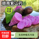 贛州紫山藥大薯紫人參紫薯鐵棍山藥富硒紫山藥江西特產(chǎn)藥食同源 紫山藥5斤