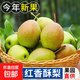 紅香酥梨國產(chǎn)2025年新梨新鮮水果喜田新1 帶箱2斤