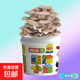 蘑菇種植桶裝盆栽食用菌包平袋DIY娃娃小菇趣味園藝多肉植物 秀珍菇【熊貓桶裝】 1桶裝