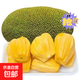 越南進(jìn)口新鮮菠蘿蜜干苞脆甜新鮮應季水果 8-10斤裝