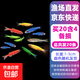 招財糖果魚(yú)斑馬魚(yú)天使魚(yú)孔雀魚(yú)觀(guān)賞魚(yú)群游魚(yú)小型熱帶淡水好養耐活 七彩斑馬1-3cm20條含4條防損