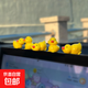 車(chē)載擺件迷你可愛(ài)鴨子擺件桌面裝飾品車(chē)內裝飾中控擺件汽車(chē)裝飾品 隨機黃色小鴨【1只裝】