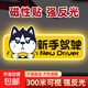實(shí)習期車(chē)貼新手上路磁性貼標志汽車(chē)反光貼搞笑創(chuàng  )意磁吸女司機貼紙 【磁吸反光貼】小哈A 警示貼