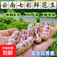 25年高原新鮮七彩花生帶殼濕花生水果花生早餐超市直播間同款 新鮮七彩花生8斤含箱