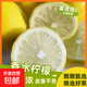 正宗云南香水檸檬新鮮無(wú)籽一級果現摘現發(fā)手打檸檬奶茶店專(zhuān)用青檸 5斤
