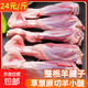 原切內蒙古羊小腿羊腱子新鮮羊腿羊肉兒童夏季火鍋生鮮食材批發(fā) 5斤 原切羊小腿