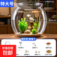 魚(yú)缸組合多選套餐家用透明耐摔客廳辦公室桌面觀(guān)賞魚(yú)生態(tài)造景魚(yú)缸 大號圓形透明魚(yú)缸【套餐4】