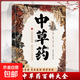 正版速發(fā)  中草藥  百科全書(shū)中草藥藥膳大全書(shū)中醫基礎理 中草藥