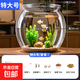 魚(yú)缸組合多選套餐家用透明耐摔客廳辦公室桌面觀(guān)賞魚(yú)生態(tài)造景魚(yú)缸 大號圓形透明魚(yú)缸【套餐1】