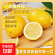正宗廣東香水黃檸檬酸爽多汁黃檸檬當(dāng)季薄皮多汁新鮮奶茶專用水果 檸檬帶箱5斤單果50g+