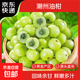 潮州油柑新鮮采摘青果余甘果甘果滇橄欖果油柑水果余甘子整箱包郵 精選2斤裝