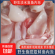 新鮮野生魚(yú)魚(yú)內泡漁民捕撈現取發(fā)貨去外皮魚(yú)雜魚(yú)鰾鰱魚(yú)泡美食包郵 魚(yú)內泡1斤