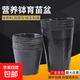 營(yíng)養杯育苗袋育苗杯營(yíng)養缽育苗盆塑料加厚一次性營(yíng)養袋花盆大種植 【加厚款】型號9X9 500個(gè)