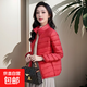 中青年輕薄羽絨棉服女短款秋冬季新款立領(lǐng)內搭輕便薄款外套上衣裝 酒紅色 808 4XL 建議130-150斤