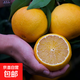 云南頭茬愛(ài)媛果凍橙 皮薄爆汁 酸甜可口 新鮮水果 包郵 單果60-65mm帶箱5斤裝