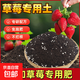 春強農業(yè)草莓專(zhuān)用營(yíng)養土陽(yáng)臺草莓肥料專(zhuān)用肥草莓土盆栽草莓苗土壤 科學(xué)配比/免施肥/無(wú)異味 草莓專(zhuān)用土10斤【添加草莓專(zhuān)用肥】