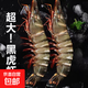海捕超大黑虎蝦越南進(jìn)口巨型特大蝦金剛蝦海鮮 斑節對蝦老虎蝦 越南黑虎蝦 500g(凈重)  1盒（1盒10-12只）