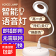 爆款推薦智能語音小夜燈led迷你聲控創(chuàng)意usb控制高靈敏床頭燈臥室 升級(jí)版1個(gè)裝【智能語音聲控】