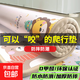 爬行墊嬰兒無(wú)毒無(wú)甲醛寶寶爬爬墊整張雙面客廳家用兒童防滑地墊子 雙面圖案【180x200cm款式隨機】 防潮隔涼（厚度1.5CM）折疊發(fā)貨
