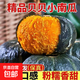 貝貝南瓜  板栗味小南瓜 粉糯香甜 寶寶輔食 精品大果 4.5斤