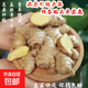 產(chǎn)地直發(fā)貴州鎮(zhèn)寧新鮮現(xiàn)挖小黃姜生姜黃姜調(diào)味料新鮮蔬菜生鮮 五斤裝 2500g 凈重