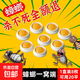 蟑螂藥全窩端蟑螂屋除小強膠餌家用廚房小強滅蟑全窩室內除蟑神器 蟑螂全窩端1盒8枚-可用20平