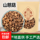 山慈菇正品新貨干貨冰球子山慈姑茅毛慈菇山茨菇煮水泡茶 山慈菇100克三袋
