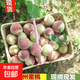 山東青州蜜桃青皮桃子毛桃脆桃新鮮當季水果整箱包郵-千果 5斤精選裝（凈重4.5斤）