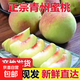 正宗青州蜜桃脆甜青皮桃子毛桃脆桃新鮮當季水果-千果 帶箱5斤 單果90-130g