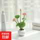 荷花仿真花小盆景人造植物室內裝飾佛堂創(chuàng  )意擺件蓮花仿真盆栽供佛 荷花粉色+白色陶瓷花盆