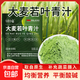 大麥若葉青汁 天然膳食纖維純大麥粉嫩苗代餐食品沖飲即食正品 大麥若葉青汁體驗裝5袋*3克（貴在運費不推薦）