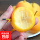 遼寧鞍山老樹(shù)南果梨南國梨頭茬果東北特產(chǎn)香水梨自家果園 重量（凈重） 1斤