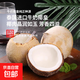 泰國奶香椰皇椰子當季新鮮水果椰青奶香濃郁口感清甜-佳堯 性?xún)r(jià)比之王椰皇9粒裝送軟刀 精選大果單果500-600g