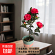 四季茶花紅山茶茶花盆栽庭院陽臺(tái)綠化園林景觀綠植帶花苞 夏日七星（50-60厘米，帶盆帶花苞發(fā)貨） 夏日七心