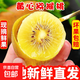黃心獼猴桃新鮮現摘應季孕婦水果酸甜多汁產(chǎn)地直供 黃心獼猴桃12個(gè)中果/70-80g