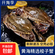 梭子蟹鮮活新鮮冷凍特大一整箱螃蟹野生海蟹飛蟹公蟹母蟹冰鮮 【大號】4-6兩/只 6斤凈重