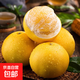 【初期微青】黃金葡萄柚新鮮甜柚子當季水果柚子整箱 葡萄柚帶箱1斤