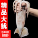 魷魚(yú)特大魷魚(yú) 新鮮野生海捕大魷魚(yú)墨魚(yú)批發(fā) 火鍋燒烤鐵板魷魚(yú)批發(fā) 新鮮速凍整條大魷魚(yú) 5斤(凈重)  2-3條