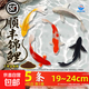 大型冷水純種紅白三色淡水好養耐活草金魚(yú)錦鯉魚(yú)苗觀(guān)賞魚(yú)活體 19-21CM黑+白+黃+紅+紅白 共5條