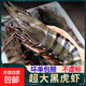 超大深海黑虎蝦越南進(jìn)口巨型特大蝦金剛蝦海鮮 斑節對蝦老虎蝦 1kg(凈重)  1盒【1盒41-50只】