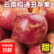 丑蘋(píng)果新鮮云南昭通蘋(píng)果生鮮水果蘋(píng)果冰糖心富士當季中秋水果禮盒 9斤甄選果【蕞劃算】60-70mm