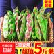 新鮮東北油豆角正宗農家精品甄選蔬菜一點(diǎn)紅九月青開(kāi)鍋爛特產(chǎn)批發(fā) 東北油豆角5斤