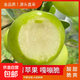 山東王林青蘋(píng)果新鮮應季水果現摘甜脆爽口孕婦酸甜5斤雀斑青森果 青蘋(píng)果65mm帶箱9斤