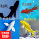金魚(yú)活體觀(guān)賞魚(yú)錦鯉草金魚(yú)冷水魚(yú)黑金錦鯉黃金錦鯉白金錦鯉小型魚(yú) 6-8cm黑+白+黃+紅【共4條】