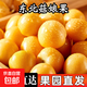 產(chǎn)地直發(fā) 黃金菇娘果 東北特產(chǎn) 精品嚴選 應季水果 東北姑娘果 5斤 水果藍裝