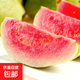 紅心珍珠芭樂(lè )閩南脆甜番石榴 新鮮軟糯老少皆宜 3斤實(shí)惠中果