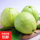 福建奶油白心珍珠芭樂(lè )福建脆甜番石榴老少皆宜 9斤大果