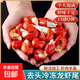 大號單凍龍蝦尾 當季新蝦 肉多Q彈 3斤/袋